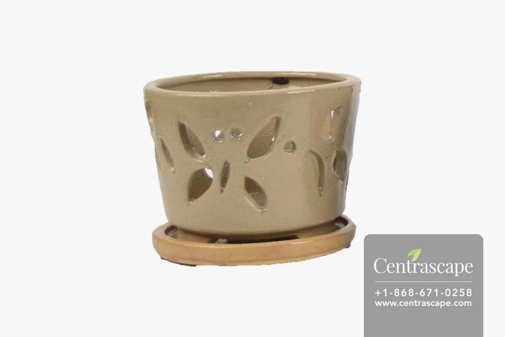 Uk Ceramic Orchid Pots