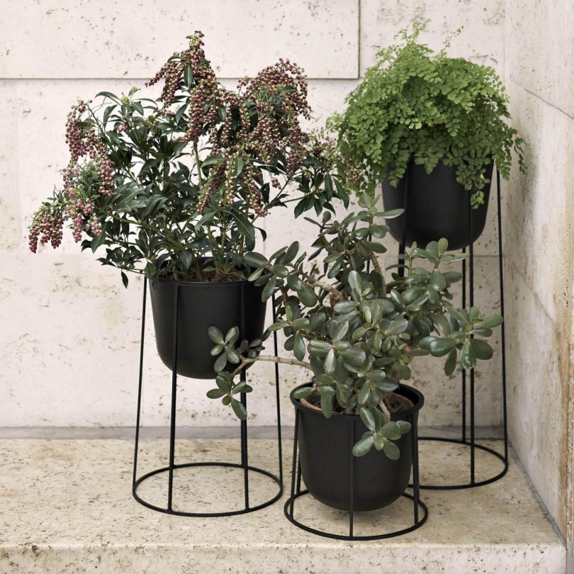 10 Garden Accessories That Will Modernize Your Oasi