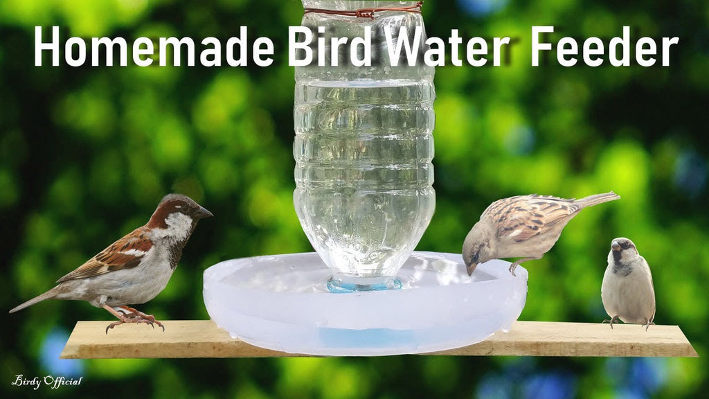 Bird Water Feeder: In today video you will learn how to make a simple and easy bottle bird water feeder for wild and pet birds