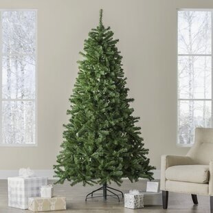 Tips Christmas Tree Fillers