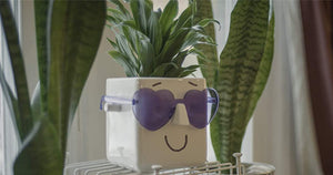 This Face Planter Holds Your Plant AND Glasses | Personalize It w/ Markers