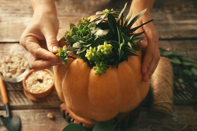 Clever Ways to Decorate with Pumpkins This Fall