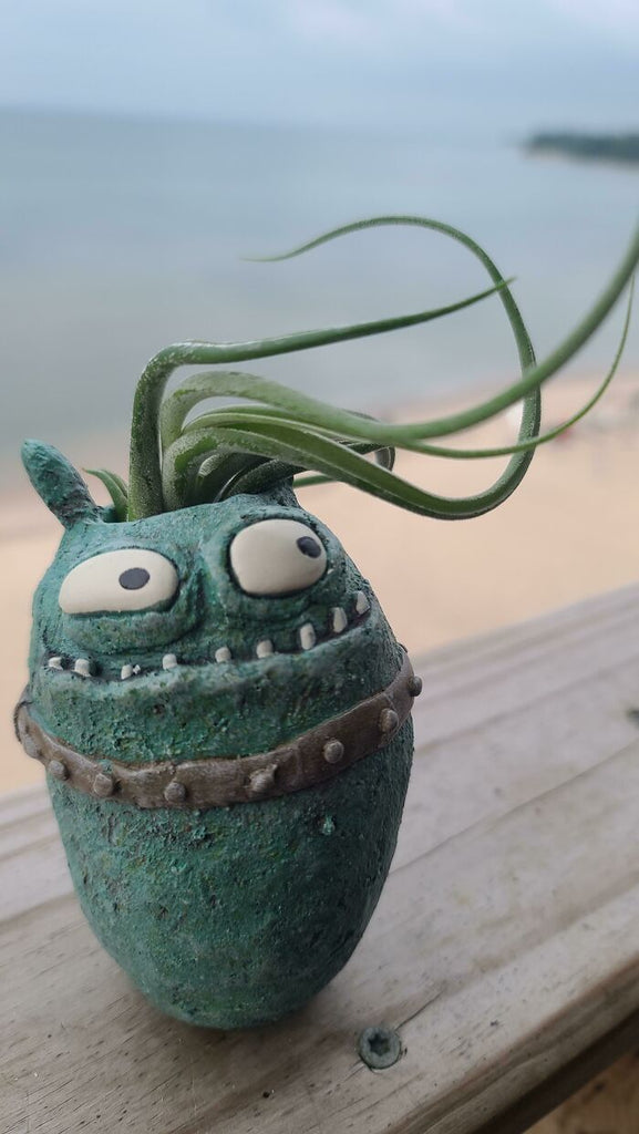 96 Times People Got Creative With Potting Their Plants And Turned Them Into Absolute Masterpieces