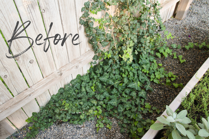 Fun Finds: Sugru! {Giveaway}