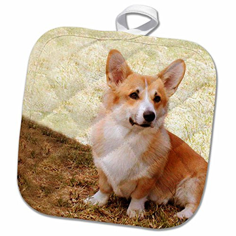 3D Rose Pembroke Welsh Corgi Pot Holder 8" x 8"