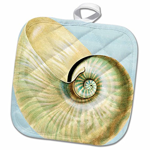 3D Rose Beautiful White Seashell-Beach Themed Art Pot Holder, 8" x 8"