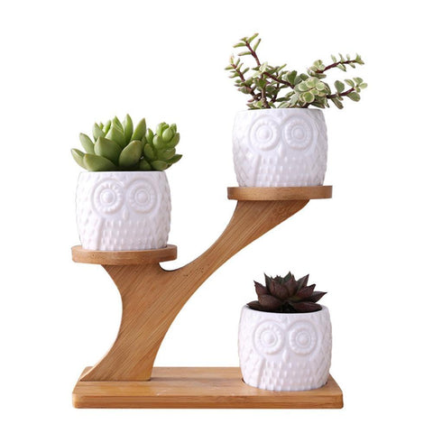 Creative Succulent Plant Flower Pot Holder